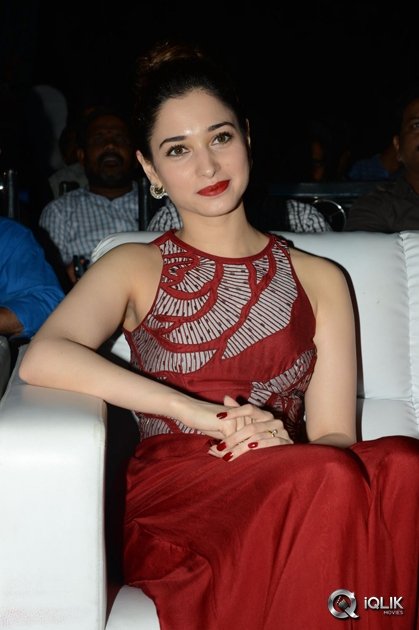 Tamannaah-at-Bengal-Tiger-Movie-Triple-Platinum-Disc-Function